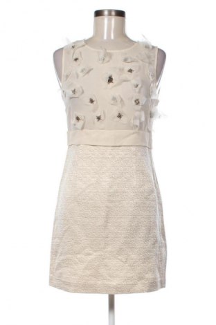 Kleid Zara, Größe S, Farbe Ecru, Preis 13,80 €
