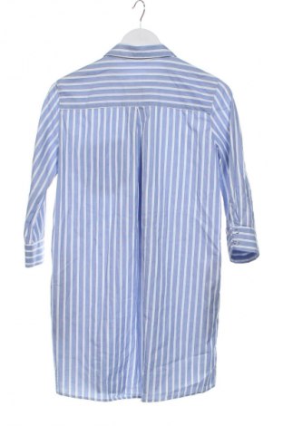 Kleid Zara, Größe XS, Farbe Mehrfarbig, Preis 17,00 €
