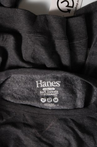 Γυναικεία μπλούζα Hanes, Μέγεθος M, Χρώμα Γκρί, Τιμή 20,13 €