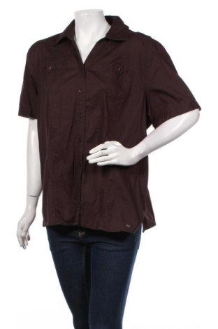 Γυναικείο πουκάμισο Cecil, Μέγεθος XXL, Χρώμα Καφέ, Τιμή 21,03 €