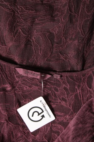 Γυναικεία μπλούζα Garcia Jeans, Μέγεθος XS, Χρώμα Βιολετί, Τιμή 1,60 €