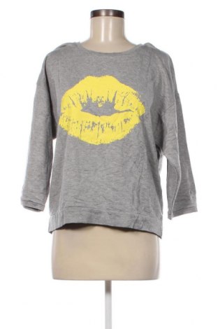 Γυναικεία μπλούζα Gwynedds, Μέγεθος S, Χρώμα Γκρί, Τιμή 2,00 €