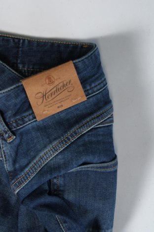 Damen Jeans Herrlicher, Größe XS, Farbe Blau, Preis 82,99 €