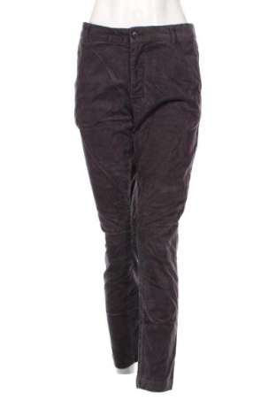 Pantaloni de velvet de femei, Mărime M, Culoare Gri, Preț 11,45 Lei