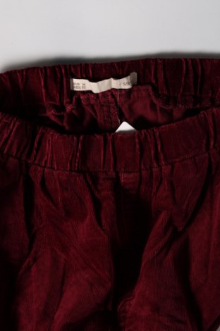 Pantaloni de velvet de femei Sfera, Mărime M, Culoare Roz, Preț 13,35 Lei