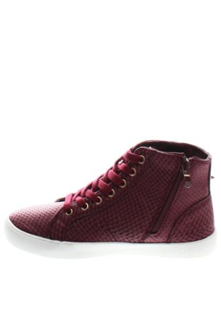 Γυναικεία παπούτσια Duffy, Μέγεθος 36, Χρώμα Ρόζ , Τιμή 21,58 €