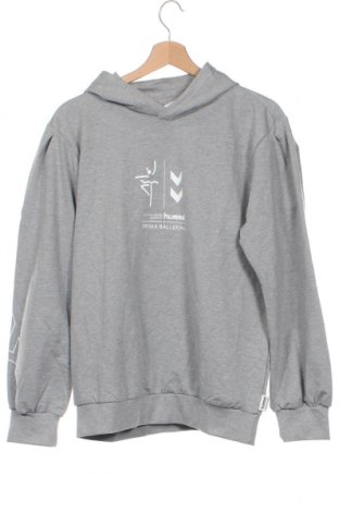 Kinder Sweatshirts Hummel, Größe 15-18y/ 170-176 cm, Farbe Grau, Preis 17,33 €