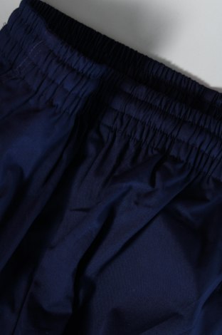 Ανδρικό παντελόνι, Μέγεθος M, Χρώμα Μπλέ, Τιμή 5,93 €