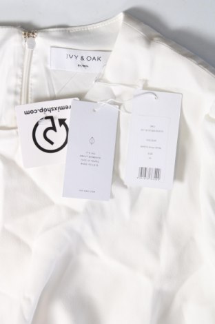 Kleid Ivy & Oak, Größe XL, Farbe Weiß, Preis 38,79 €