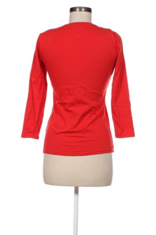 Damen Shirt Armani Jeans, Größe XL, Farbe Rot, Preis € 44,49