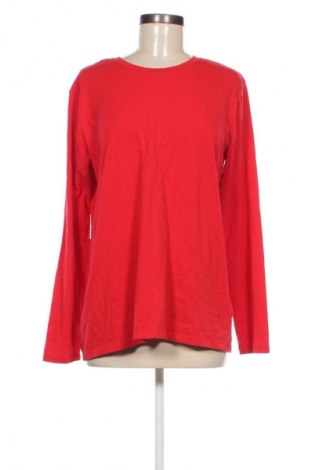 Damen Shirt C&A, Größe XXL, Farbe Rot, Preis € 10,00