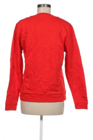 Damen Shirt Colourful Rebel, Größe L, Farbe Rot, Preis 7,99 €