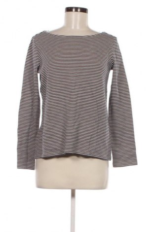 Damen Shirt Hallhuber, Größe S, Farbe Mehrfarbig, Preis 15,99 €