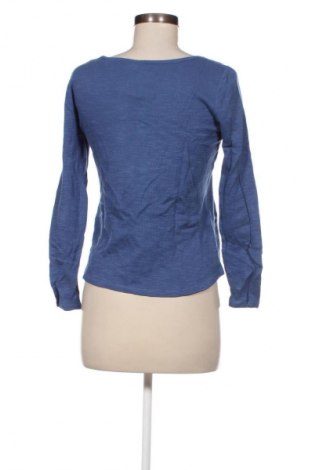 Damen Shirt Massimo Dutti, Größe S, Farbe Blau, Preis € 14,99