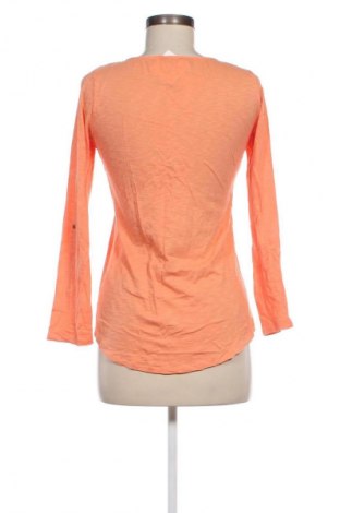 Damen Shirt Massimo Dutti, Größe S, Farbe Orange, Preis € 13,99