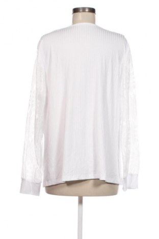 Damen Shirt SHEIN, Größe 3XL, Farbe Mehrfarbig, Preis € 5,99