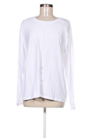 Damen Shirt Time and tru, Größe XXL, Farbe Weiß, Preis 5,99 €