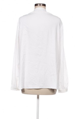 Damen Shirt Walbusch, Größe XL, Farbe Weiß, Preis € 33,99