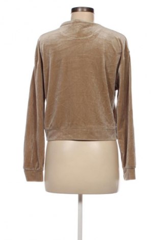 Damen Shirt Zara, Größe S, Farbe Beige, Preis 5,99 €