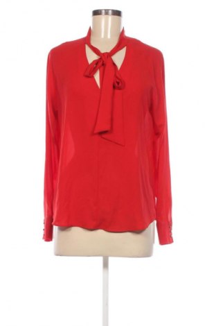 Damen Shirt Zara, Größe M, Farbe Rot, Preis 18,99 €