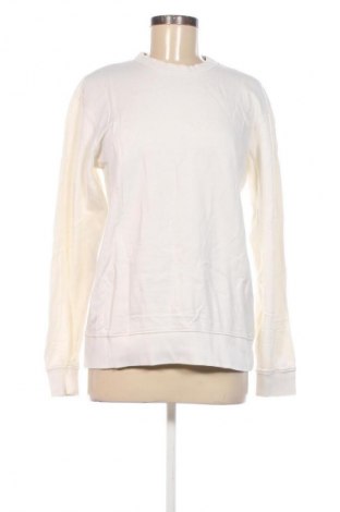 Damen Shirt Zara, Größe S, Farbe Weiß, Preis € 5,99