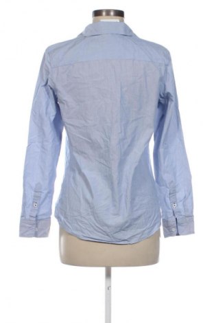 Damenbluse Hampton Republic, Größe M, Farbe Blau, Preis € 28,99