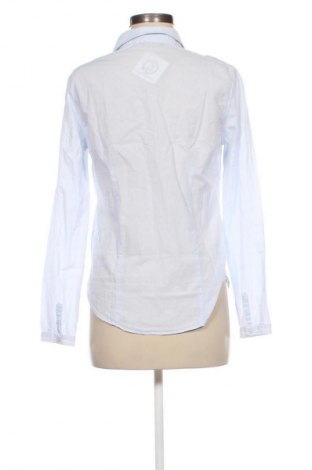 Damenbluse Massimo Dutti, Größe M, Farbe Blau, Preis 19,99 €