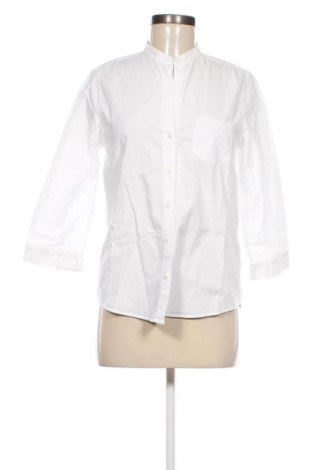 Damenbluse Massimo Dutti, Größe M, Farbe Weiß, Preis 19,99 €