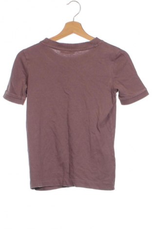 Damen T-Shirt Zara, Größe XS, Farbe Aschrosa, Preis € 6,00