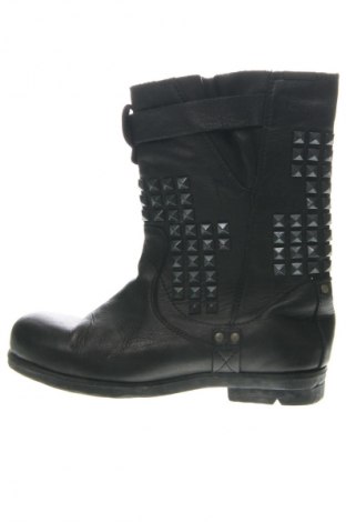 Damen Stiefeletten PLDM, Größe 39, Farbe Schwarz, Preis € 27,72