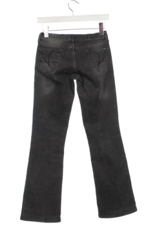 Damen Jeans Big Star, Größe S, Farbe Grau, Preis 14,07 €