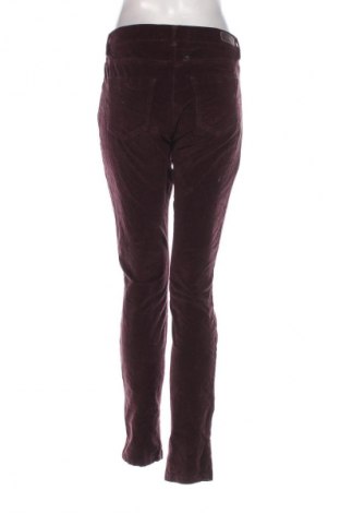 Damenhose Brax, Größe S, Farbe Lila, Preis 9,99 €