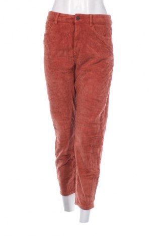 Damen Cordhose Dawn, Größe S, Farbe Rot, Preis 16,99 €