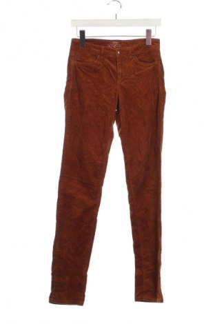 Pantaloni de velvet de femei Esprit, Mărime XS, Culoare Maro, Preț 39,99 Lei