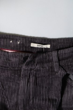 Pantaloni de velvet de femei Esprit, Mărime L, Culoare Gri, Preț 71,99 Lei