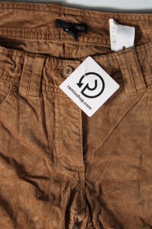 Damen Cordhose H&M, Größe S, Farbe Beige, Preis 4,99 €