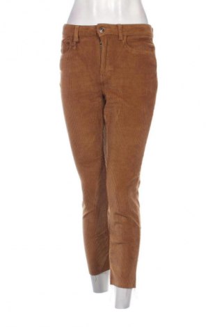 Pantaloni de velvet de femei ONLY, Mărime S, Culoare Maro, Preț 47,99 Lei