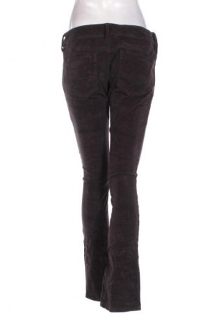 Pantaloni de velvet de femei Pepe Jeans, Mărime XL, Culoare Negru, Preț 223,99 Lei