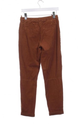 Pantaloni de velvet de femei Raffaello Rossi, Mărime XS, Culoare Maro, Preț 173,47 Lei