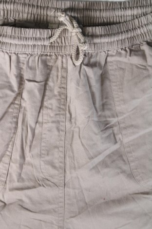 Damen Shorts, Größe L, Farbe Grau, Preis € 8,99