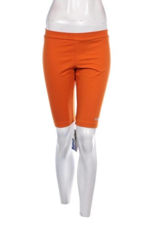 Damen Leggings, Größe L, Farbe Orange, Preis € 6,99