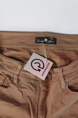 Damenhose, Größe S, Farbe Braun, Preis € 6,49