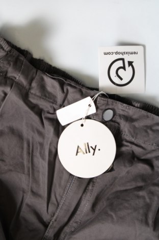 Damenhose Ally, Größe L, Farbe Grau, Preis € 32,49