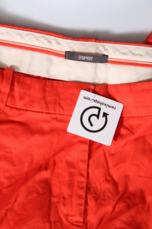 Damenhose Esprit, Größe XXL, Farbe Orange, Preis 14,99 €