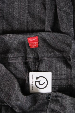 Damenhose Esprit, Größe M, Farbe Grau, Preis € 28,99