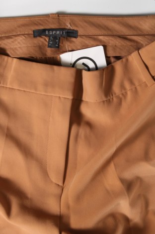 Damenhose Esprit, Größe XS, Farbe Braun, Preis € 28,99