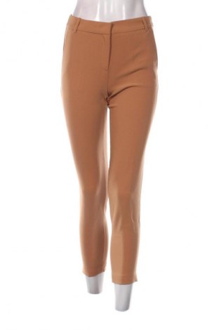 Damenhose Esprit, Größe XS, Farbe Braun, Preis € 28,99