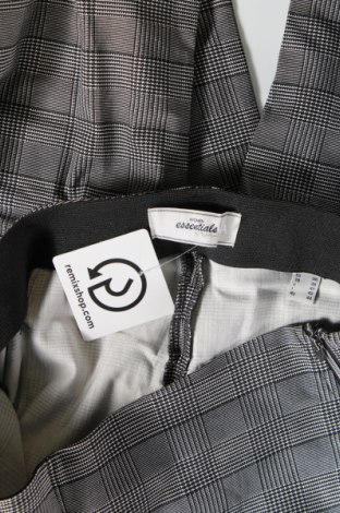 Damenhose Essentials by Tchibo, Größe M, Farbe Mehrfarbig, Preis € 6,99