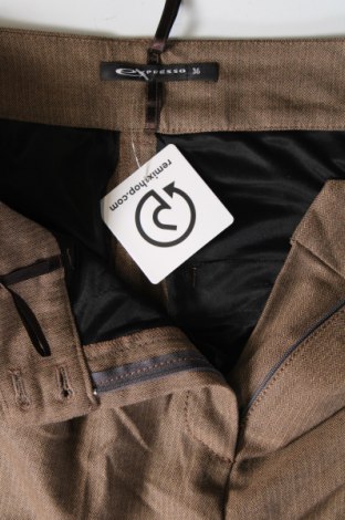 Damenhose Expresso, Größe S, Farbe Braun, Preis € 10,99