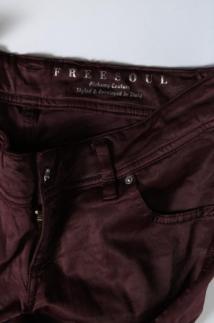 Damenhose Freesoul, Größe S, Farbe Braun, Preis 7,49 €